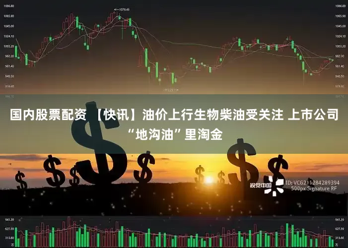 国内股票配资 【快讯】油价上行生物柴油受关注 上市公司“地沟油”里淘金