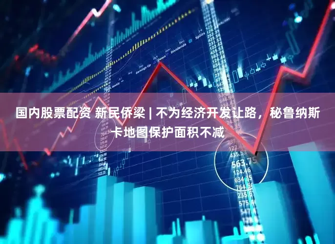 国内股票配资 新民侨梁 | 不为经济开发让路，秘鲁纳斯卡地图保护面积不减