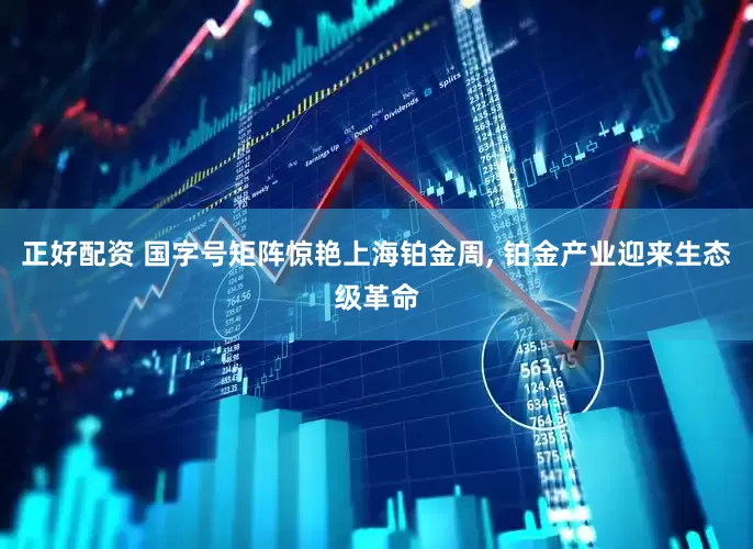 正好配资 国字号矩阵惊艳上海铂金周, 铂金产业迎来生态级革命