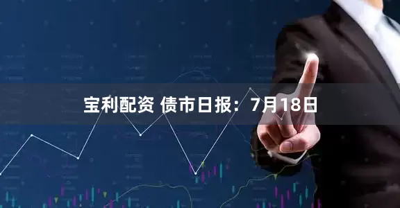 宝利配资 债市日报：7月18日