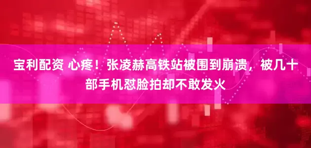 宝利配资 心疼！张凌赫高铁站被围到崩溃，被几十部手机怼脸拍却不敢发火